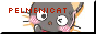 The button for the site Pelmenicat